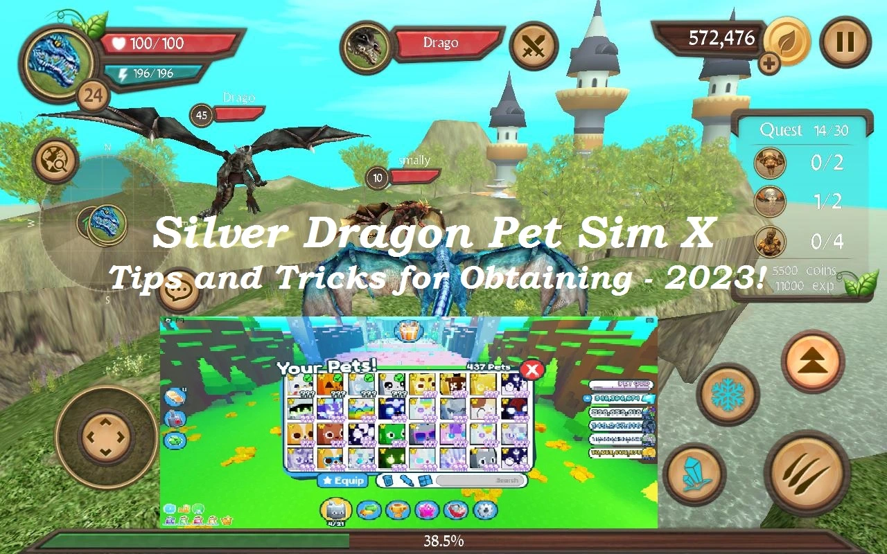 Silver Dragon Pet Sim X