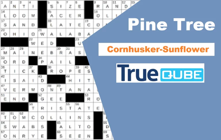 Pine Tree-Cornhusker-Sunflower [Crossword Clue Answer]: A Detailed Guide